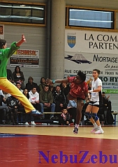 Hand_Celles_Lyon_45 [800x600]
